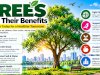 Trees and Their Benefits: Why Trees Are Essential for Life and the Environment